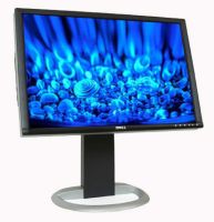     Dell_2405.jpg   